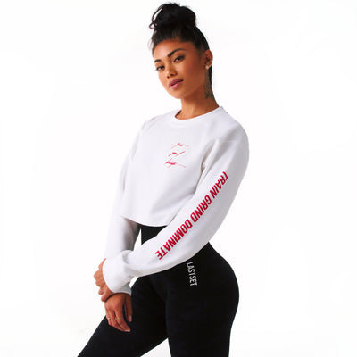 TGD crop sweater